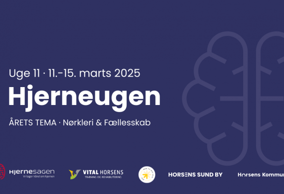 Hjerneugen 2025