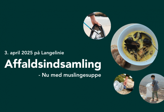 Affaldsindsamling på Langelinie