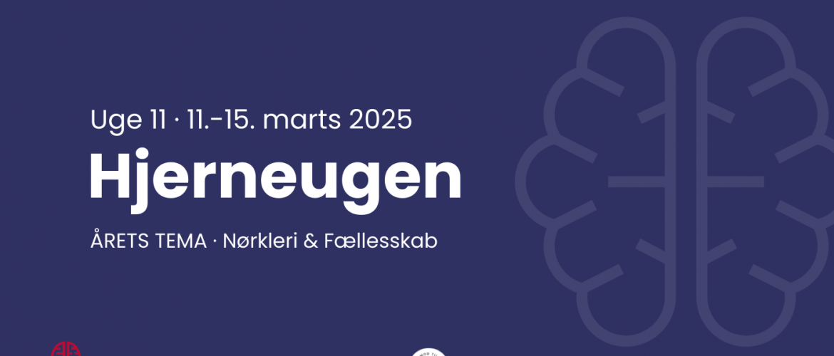 Hjerneugen 2025