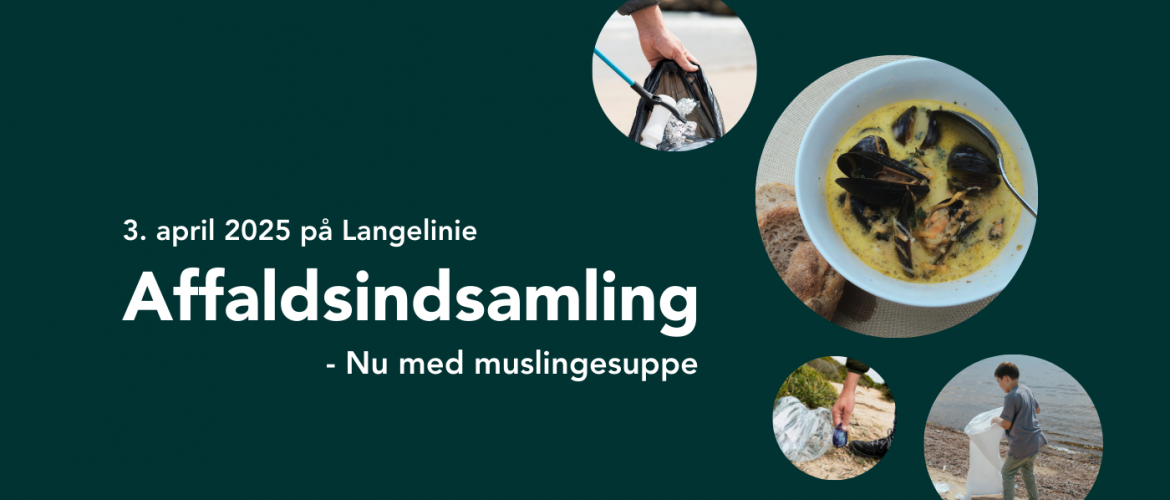 Affaldsindsamling på Langelinie